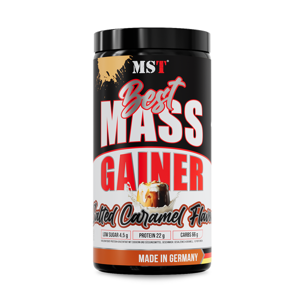 Best Mass Gainer 1 kg Salted Caramel